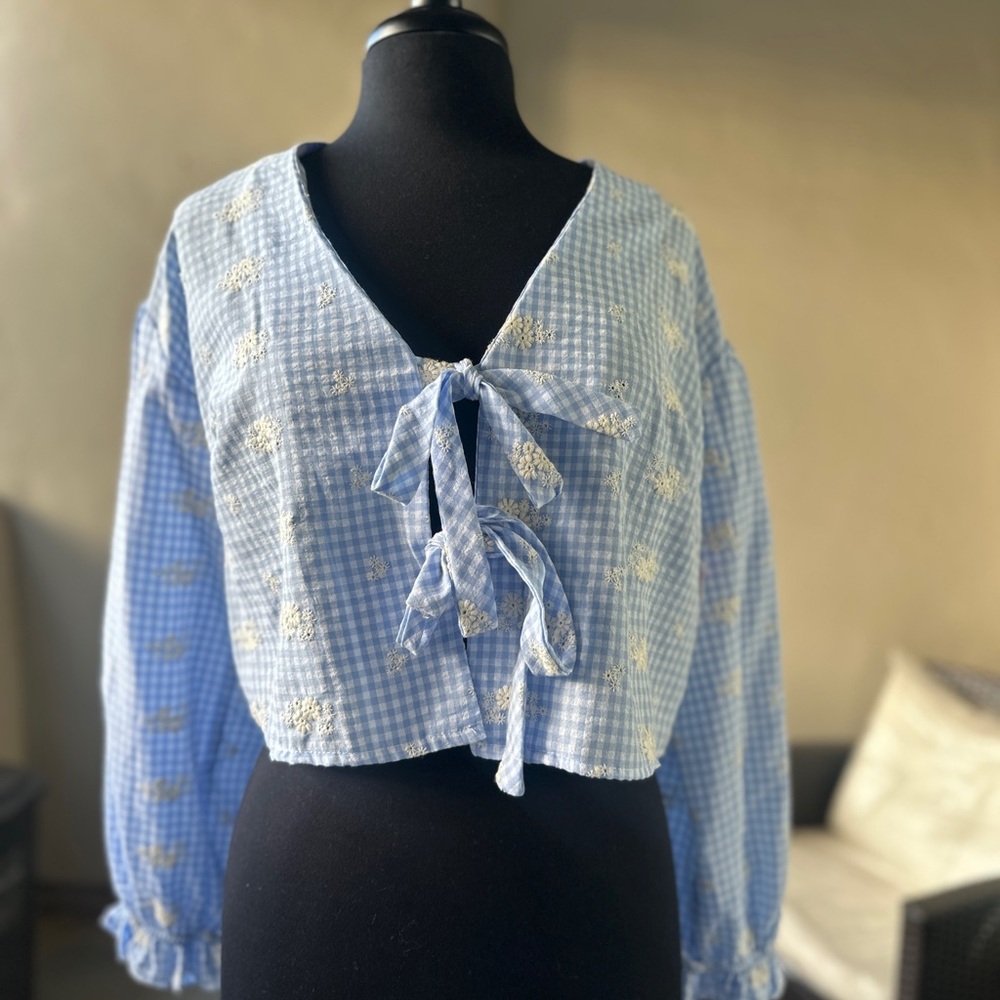 LUSH Blue Gingham Embroidered Tie-Front Crop Top – S
